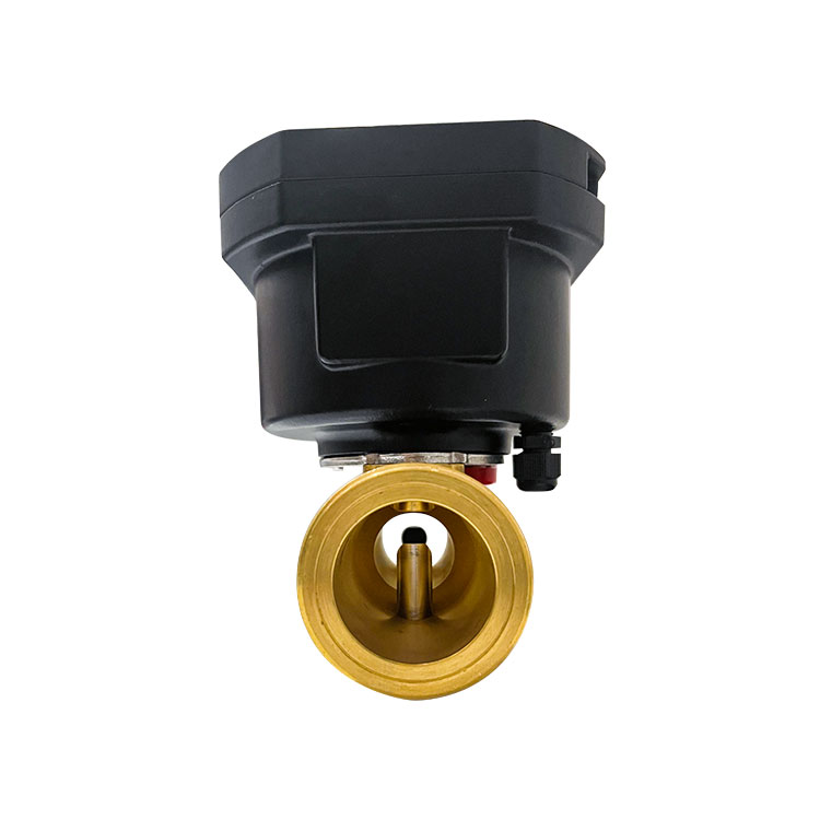 Brass ultrasonic water meter